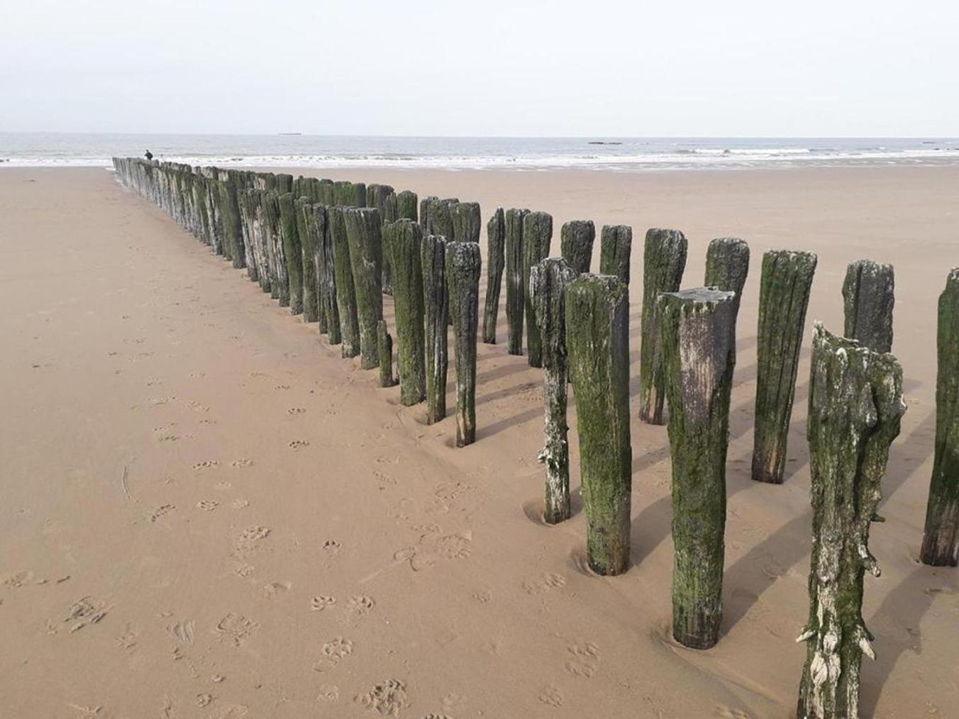 Maison Noomi Knokke-Heist Exteriör bild